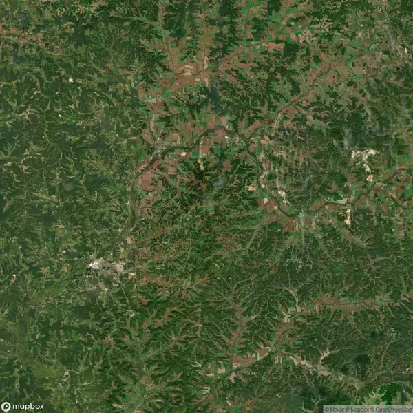 Satellite image of a densely forested region with scattered patches of agricultural land and winding river formations.