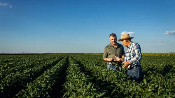 Two men stand in a vast green field, examining plants under a clear blue sky. One wears a straw hat and plaid shirt, the other wears a green shirt and jeans. Rows of crops extend into the distance.