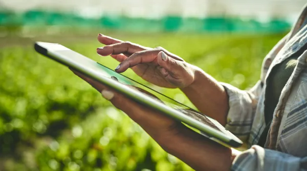 Person using a tablet in an agricultural field.