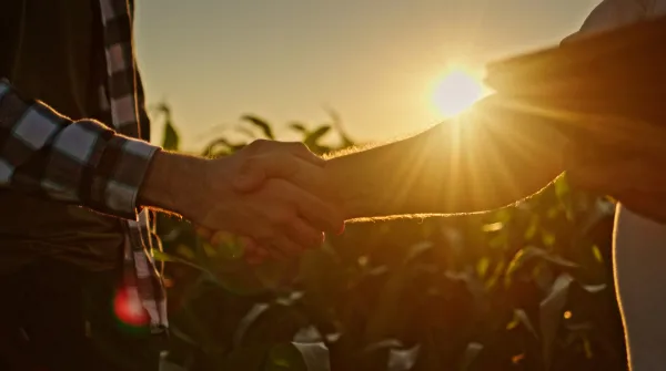 Two people shaking hands in a field at sunset, with the sun partially obscured in the background.