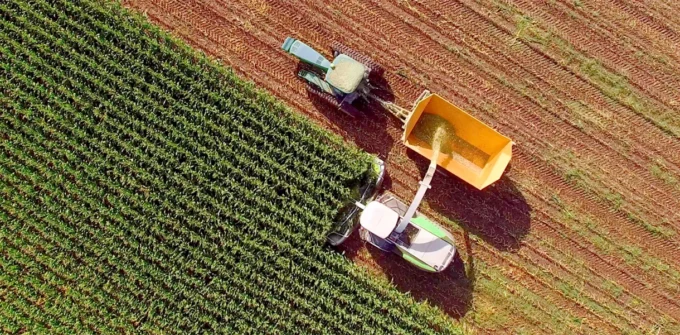 Aerial view of two tractors harvesting a large green crop field. One tractor collects harvested material and transfers it to the trailer attached to the other tractor on a dirt path.
