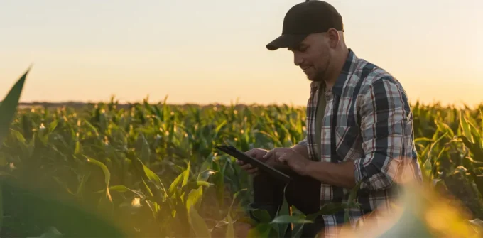 Man in a plaid shirt and cap uses a tablet while standing in a cornfield at sunset.