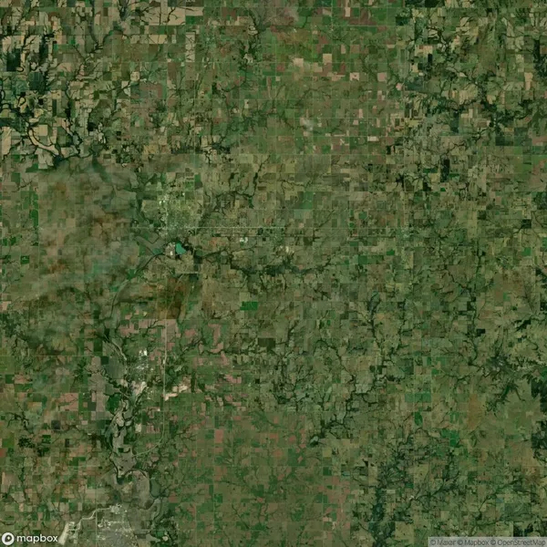 Aerial satellite view of a rural landscape with a patchwork of green and brown agricultural fields and scattered clusters of trees.