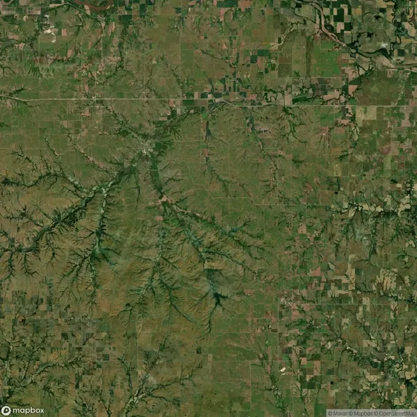 Aerial satellite view of a rural landscape with patchwork farmland and branching river valleys or streams.