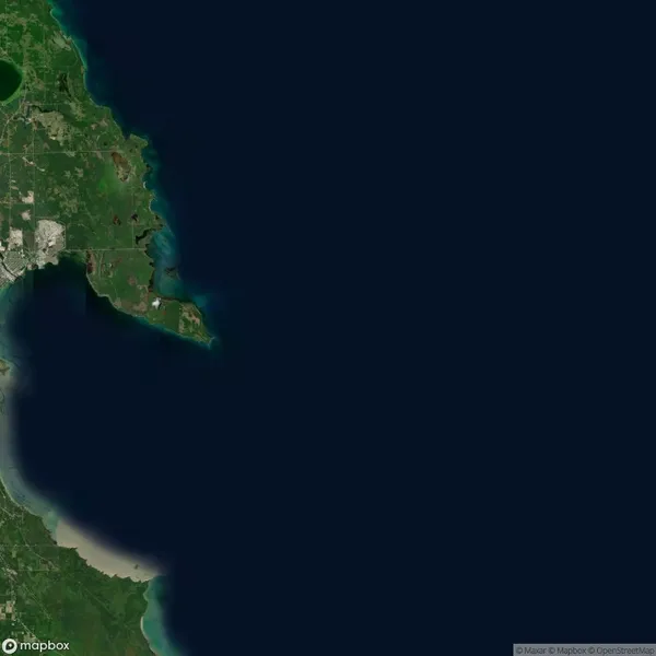 Satellite view of a coastal area showing land on the left with green and urban zones, and a large body of dark blue water on the right.