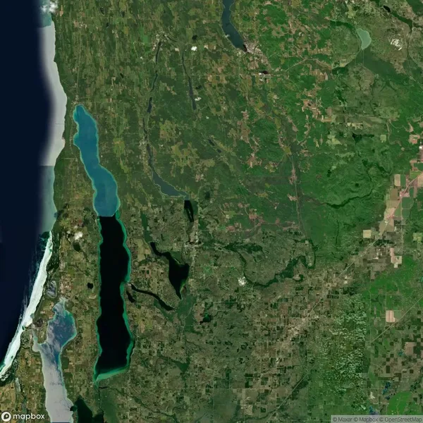 Satellite view of a green landscape with large lakes, some farmland, and a portion of coastline along the left edge.