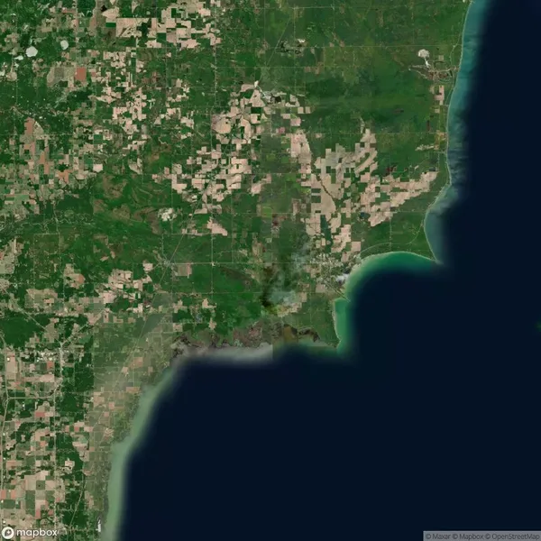 Satellite view of a coastal area with farmland, patches of forest, and a body of water bordering the shoreline.