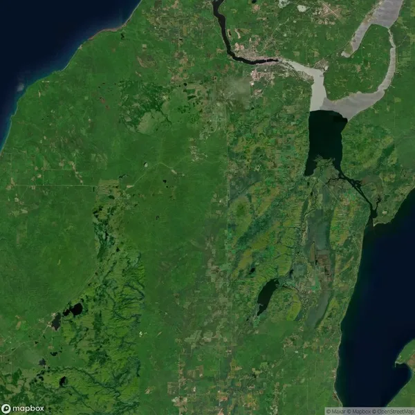 Satellite view of a green landscape with rivers, lakes, and patches of forest and farmland, bordered by water bodies on the top left and right sides.