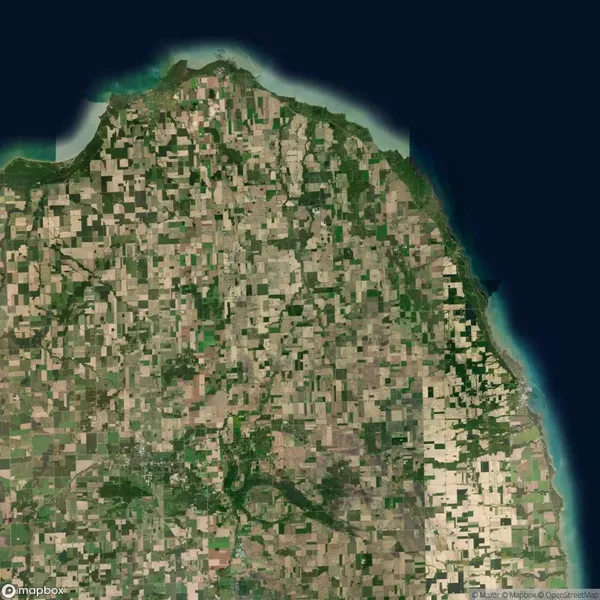 Aerial view of a coastal region with a grid pattern of agricultural fields, a curving shoreline, and patches of green vegetation near the top and right edges.
