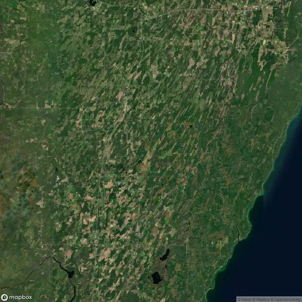 Satellite view showing a diagonal pattern of agricultural fields and forested areas, with a large body of water on the right side and scattered patches of green and brown land.