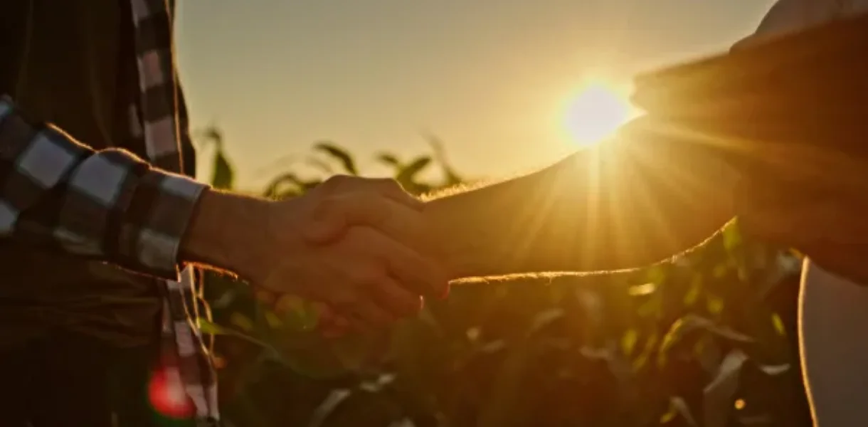 Two people shake hands in a field at sunset, with plants visible in the background and sunlight shining through.